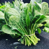 GreenRoot Co-op