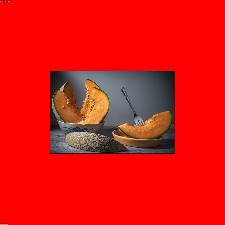 Muskmelon (Kharbooja)